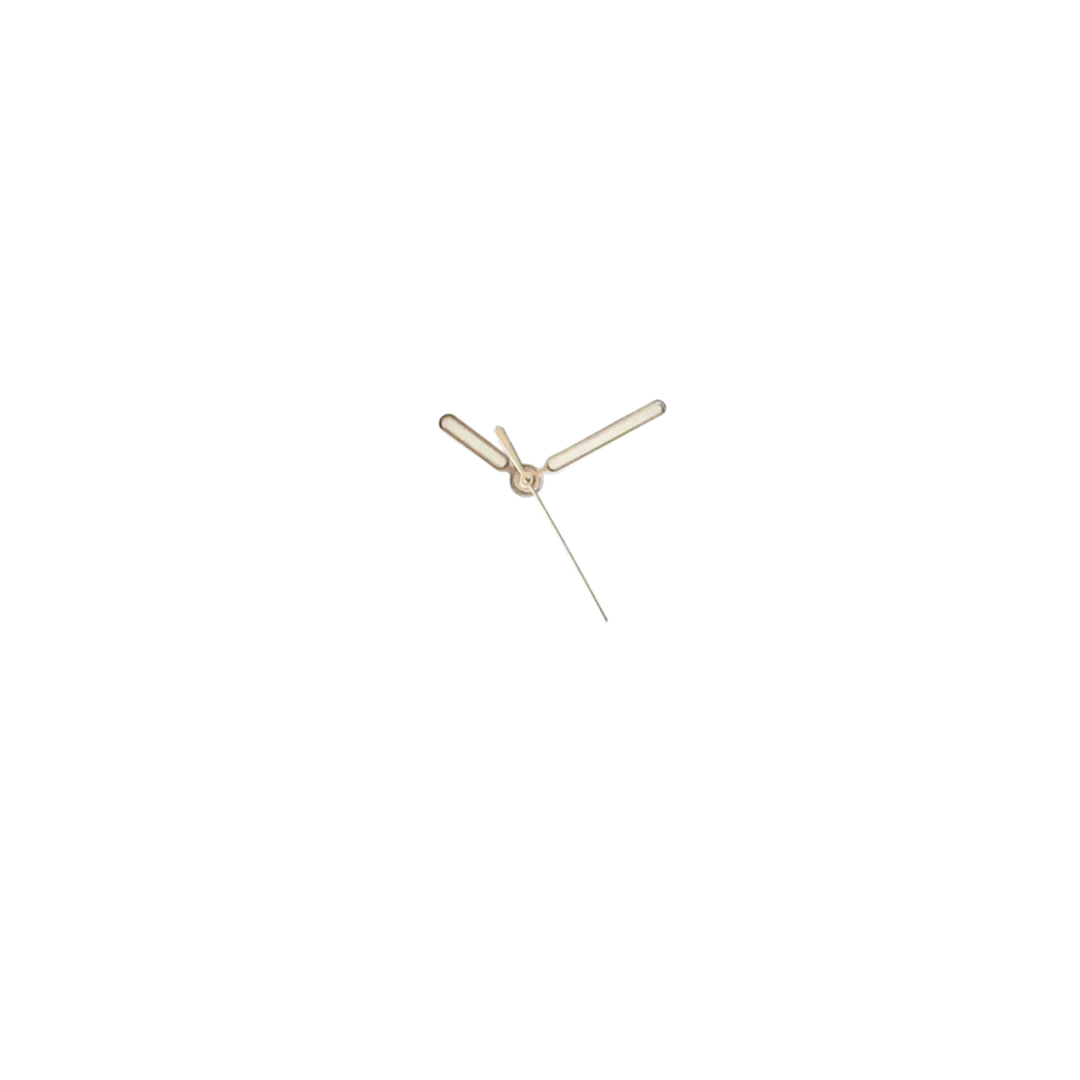hands__nautilus_rose
